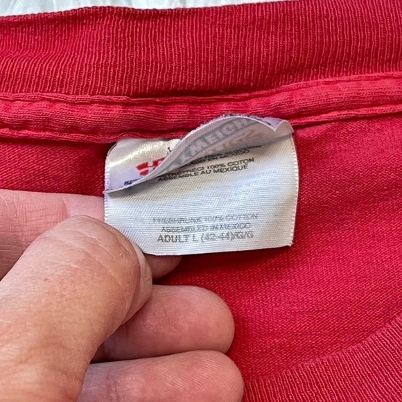 Vintage Detroit Red Wings Western Conference Champions NHL - Picture 5 of 7